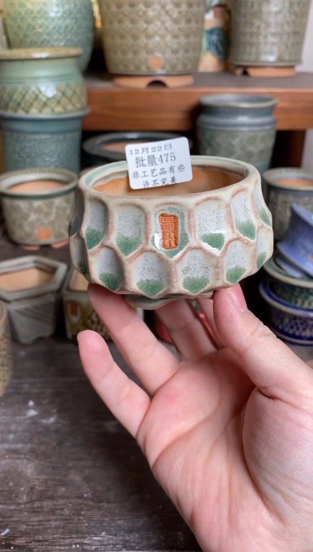 【闪购商品】红陶15cm以下12-22批量475默认微瑕