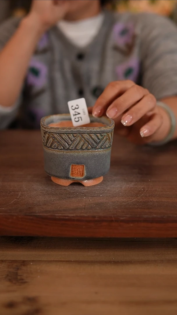 【闪购商品】红陶20CM以下11-3-345默认微瑕口7