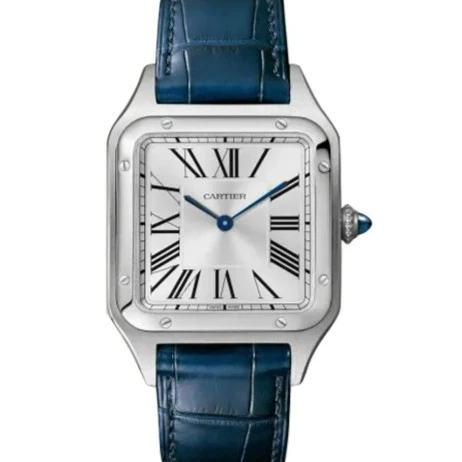 99新 Cartier/卡地亚 山度士 WSSA0022 中号44x31 石英23年大全套
