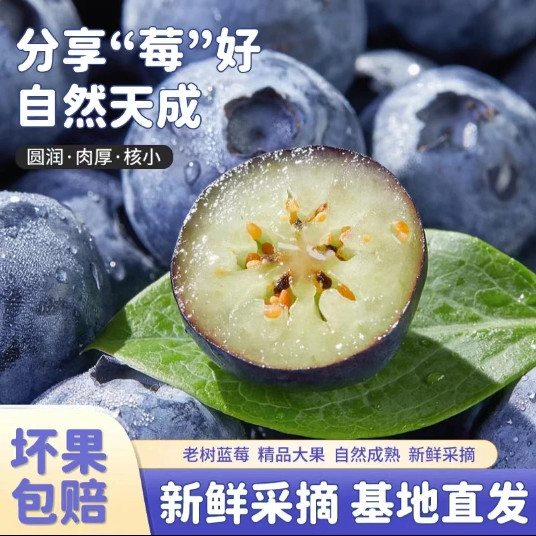 【超大果蓝莓20mm+】产地直发  现摘现采 新鲜蓝莓 酸甜爆汁