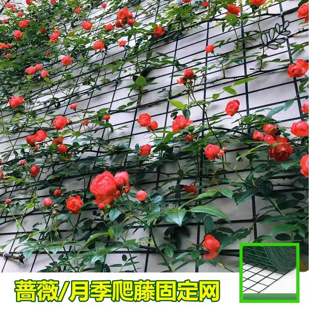花墙架网格月季爬藤架子靠墙壁植物固定支撑蔷薇花架铁丝网花卉架