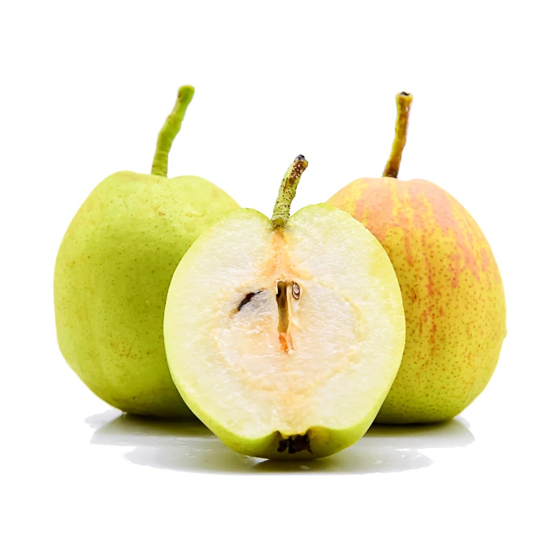 新疆库尔勒香梨5斤装礼盒装/顺丰快递