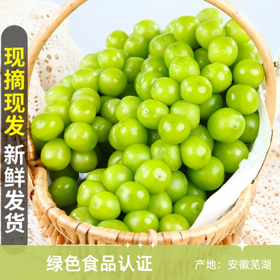 【安徽晴王】芜湖江北阳光玫瑰葡萄青提晴王甜蜜果园现采2/5/6斤