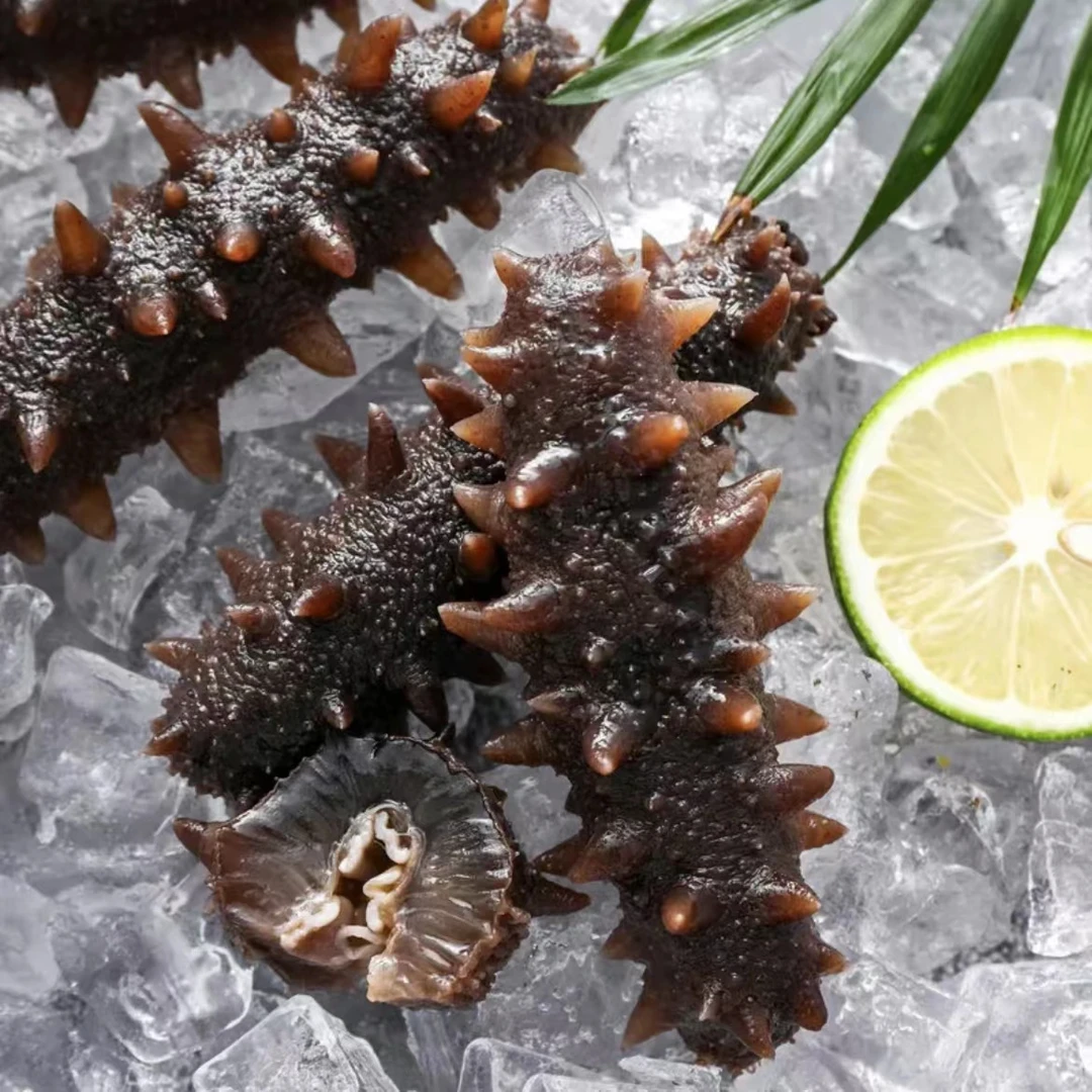 鲍总管速冻海参即食海参12头解冻即食营养海鲜名贵水产福建海参
