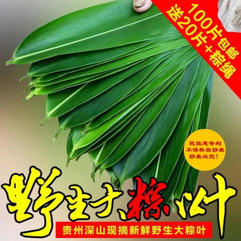 2025年贵州本地野生粽叶新鲜粽子叶大号箬叶包粽子的叶子送绳