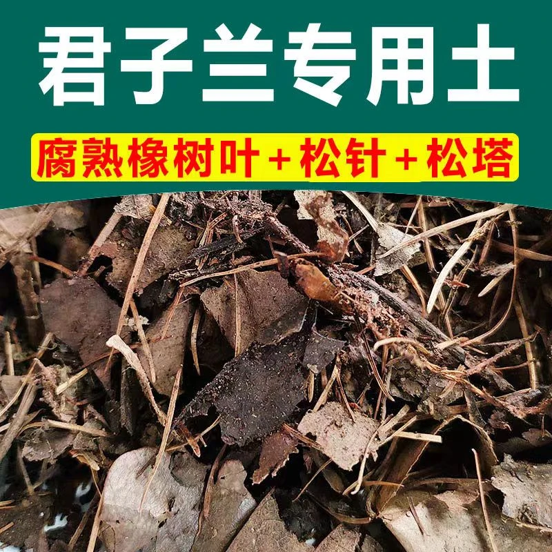 （5.5斤装)君子兰专用风化腐叶松针混合营养土沥水疏松透气不烂根