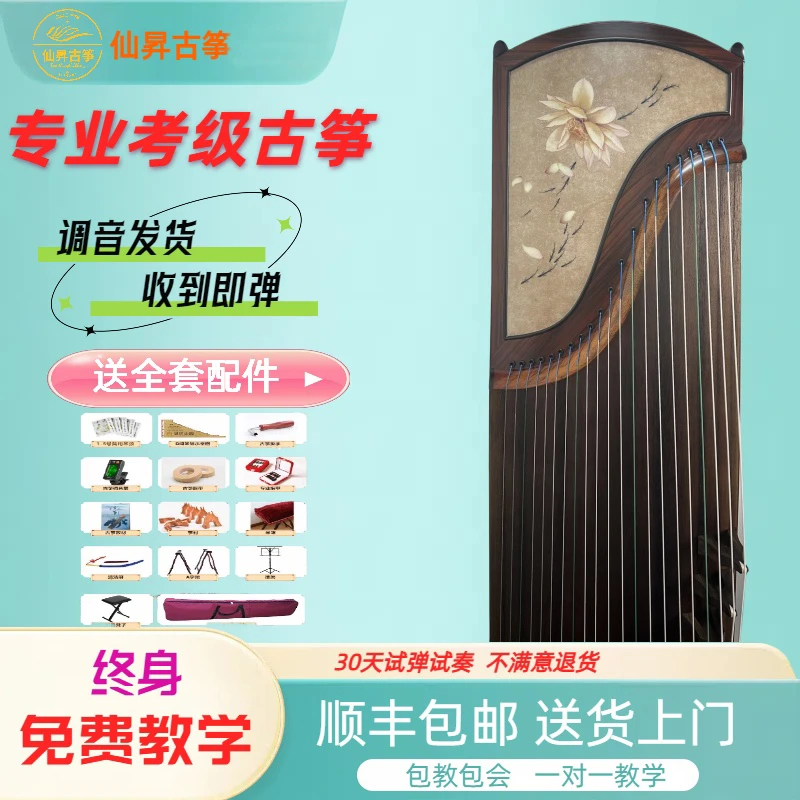 【荷趣】仙昇古筝黑檀3D打印163初学者入门考级表演乐器成人演奏琴