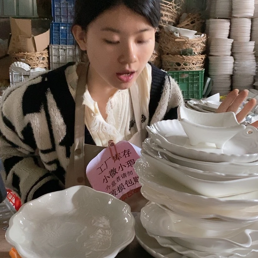 【闪购商品】陶瓷盘209十二件套