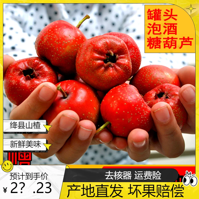 新鲜山楂鲜果山西绛县产地直发山里红果山西精选绛县水果直播