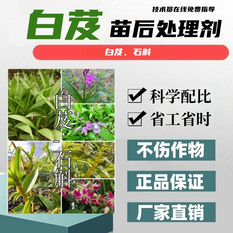 白芨苗后处理剂石斛白芨专用苗后处理剂科学配比厂家直销正品