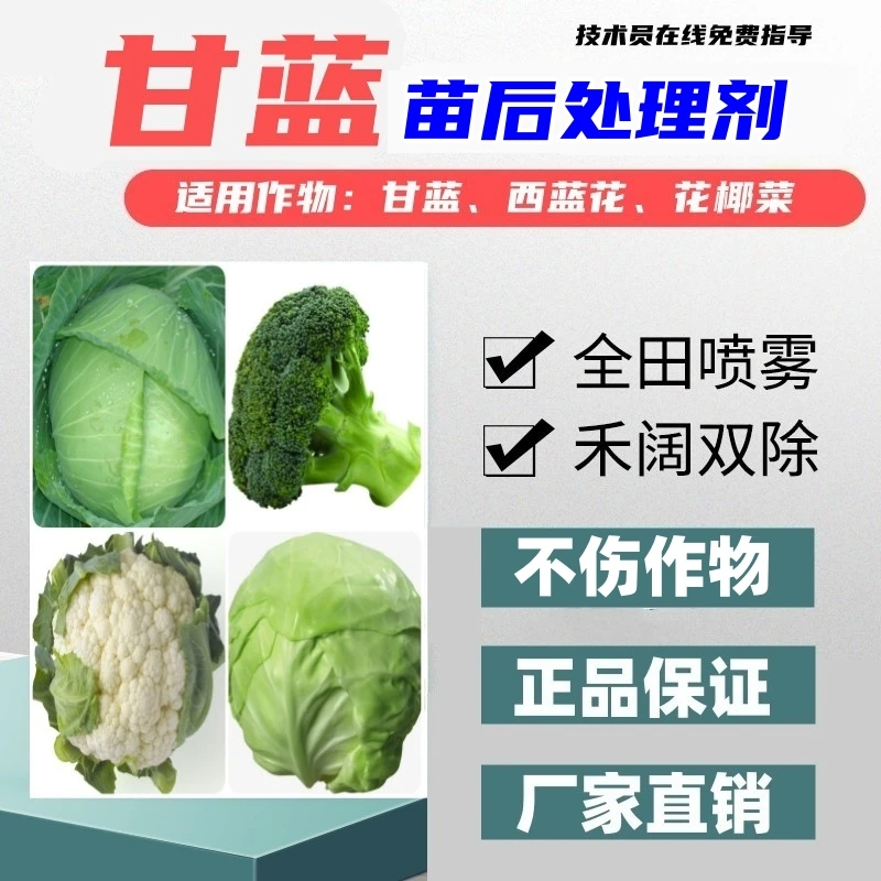 甘蓝花椰菜菜花西蓝花苗后处理剂多元复配助剂基地合作社正品