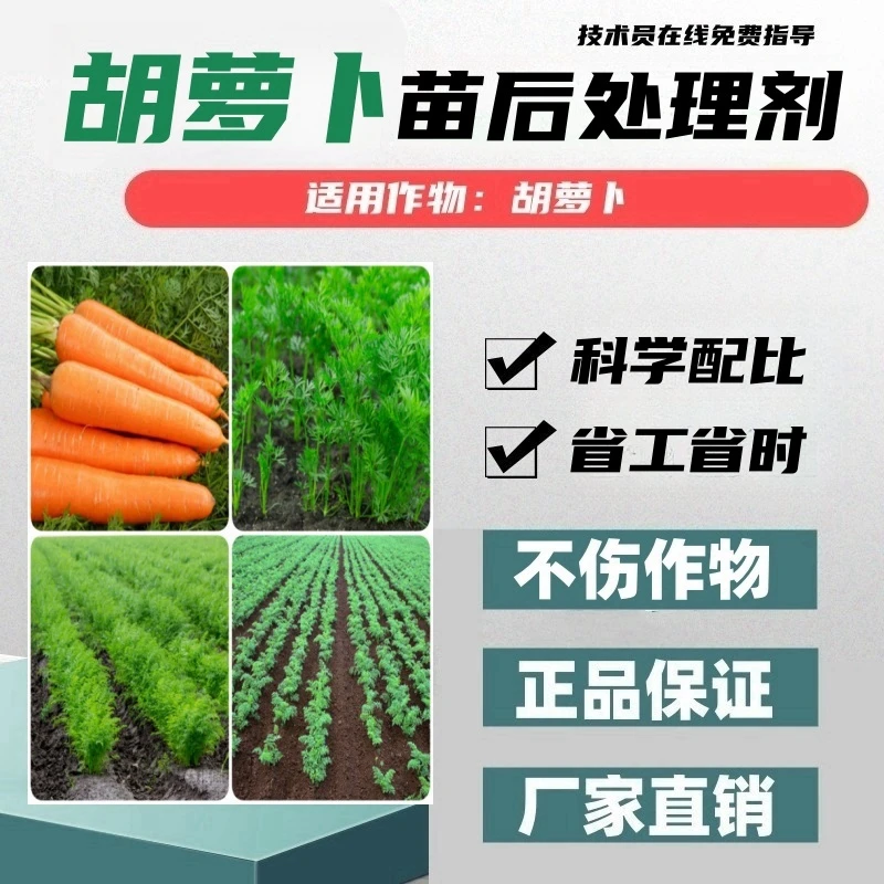 胡萝卜苗后处理剂胡萝卜专用苗后处理剂厂家直销正品科学配比