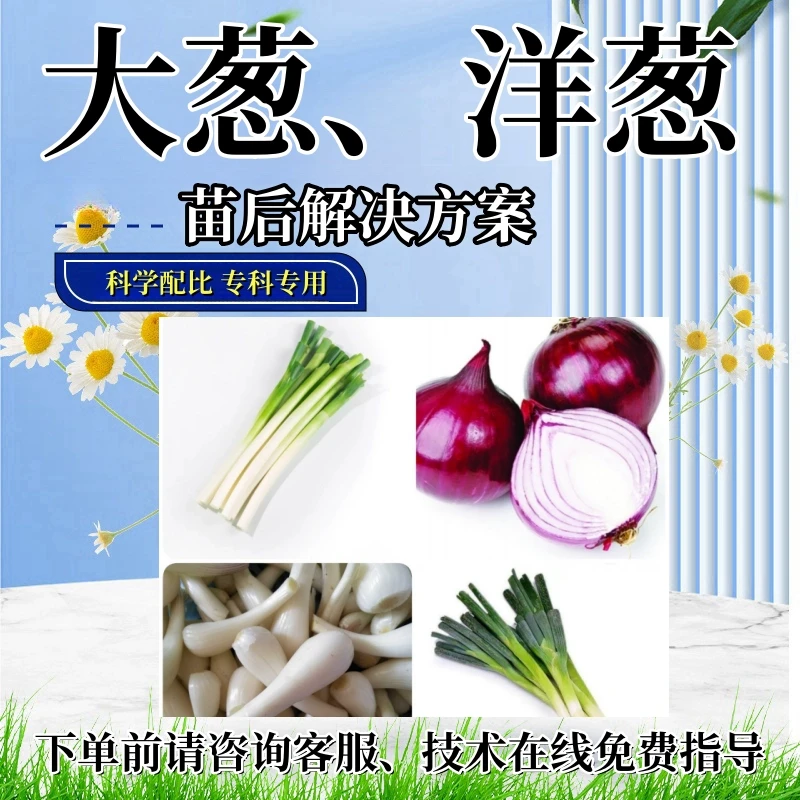 大葱苗后处理剂大葱洋葱专用苗后大葱禾阔除灭烂根多元复配助剂