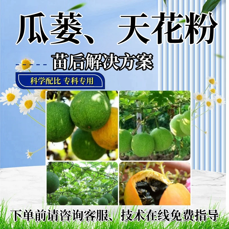 瓜蒌苗后处理剂瓜蒌专用苗后天花粉苗后禾阔烂根多元复配助剂除灭