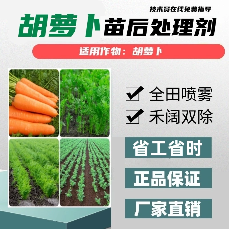 胡萝卜苗后处理剂全田喷施多元复配禾阔双除基地专供正品厂家直销