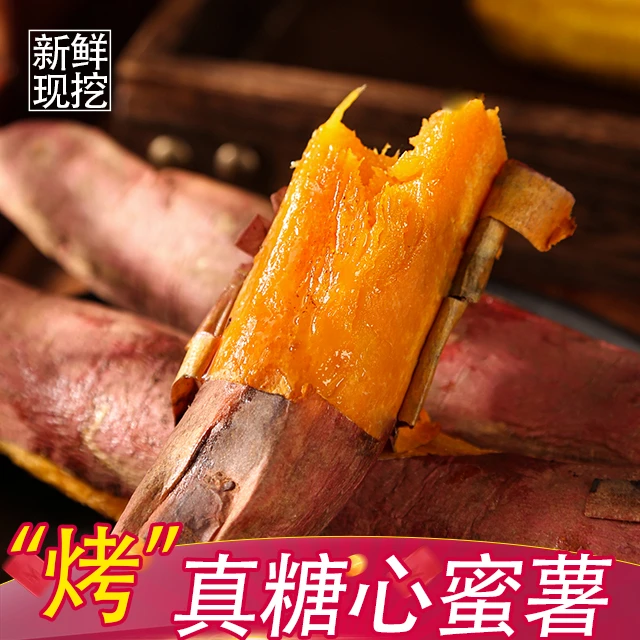 赫杰哥红薯糖心蜜薯正宗山东烟薯25号新鲜地烤瓜产地直发沙地番薯