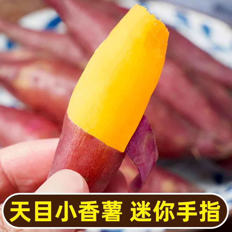临安天目山香薯红薯薄甜糯香甜板栗红薯番薯健康小香薯种植蒸煮