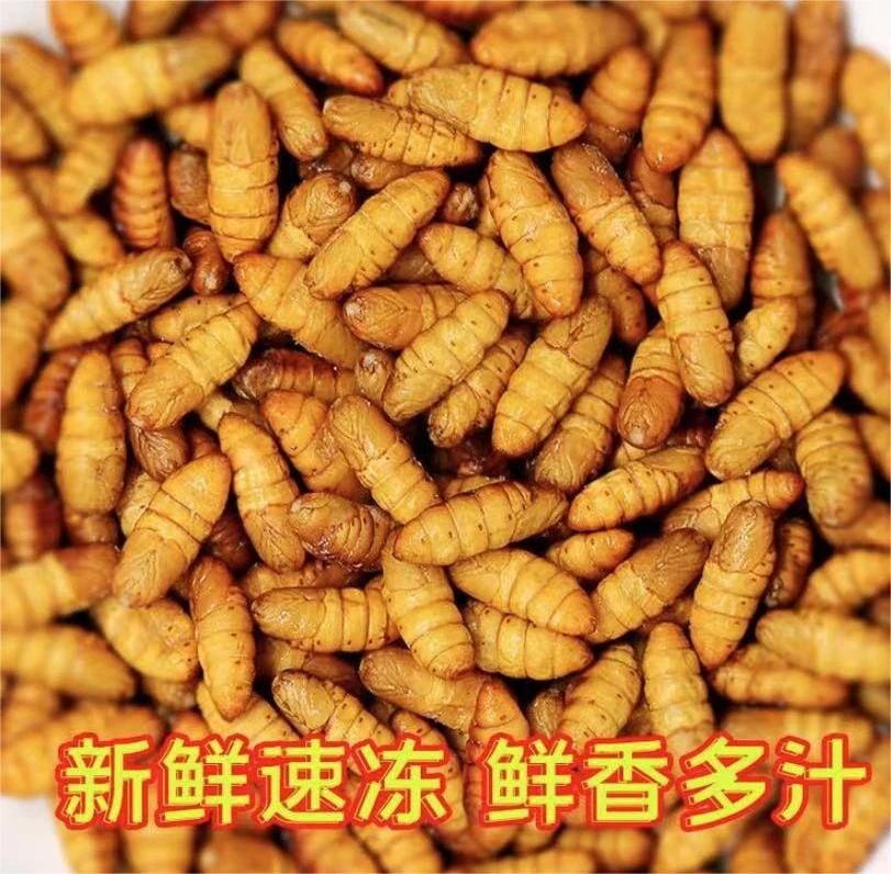 速冻连云港蚕蛹8包，每包250克