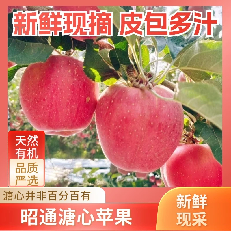 【涛先生专属】云南昭通丑苹果冰糖心红富士脆甜多汁产地直发苹果