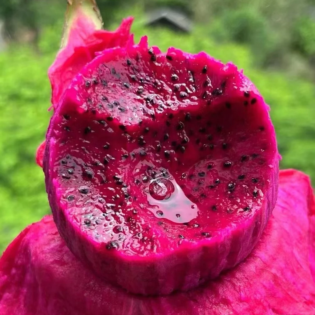 N【散装8头】【边边甜的40火龙果】（份/8颗装）仅限太原六城区榆次可