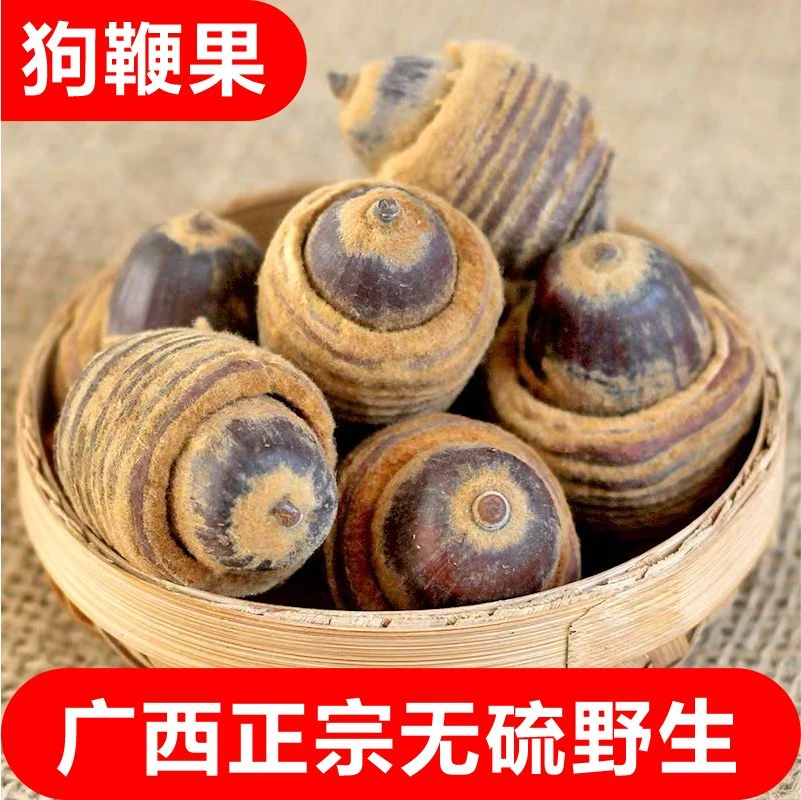 广西野生狗鞭果新货毛毛果猪仔粒100克/500克干货 其他脱水蔬菜