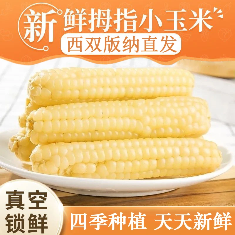 【精品】云南西双版纳拇指玉米香糯手指小玉米傣家甜黏棒早餐代餐