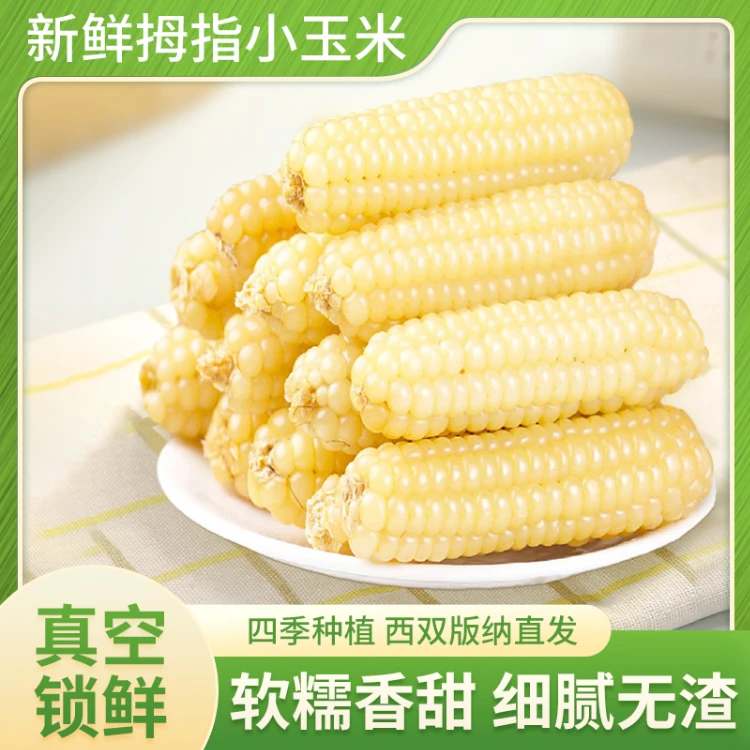 西双版纳傣家拇指小玉米糯玉米营养即食代餐 新鲜采摘真空1斤/2斤