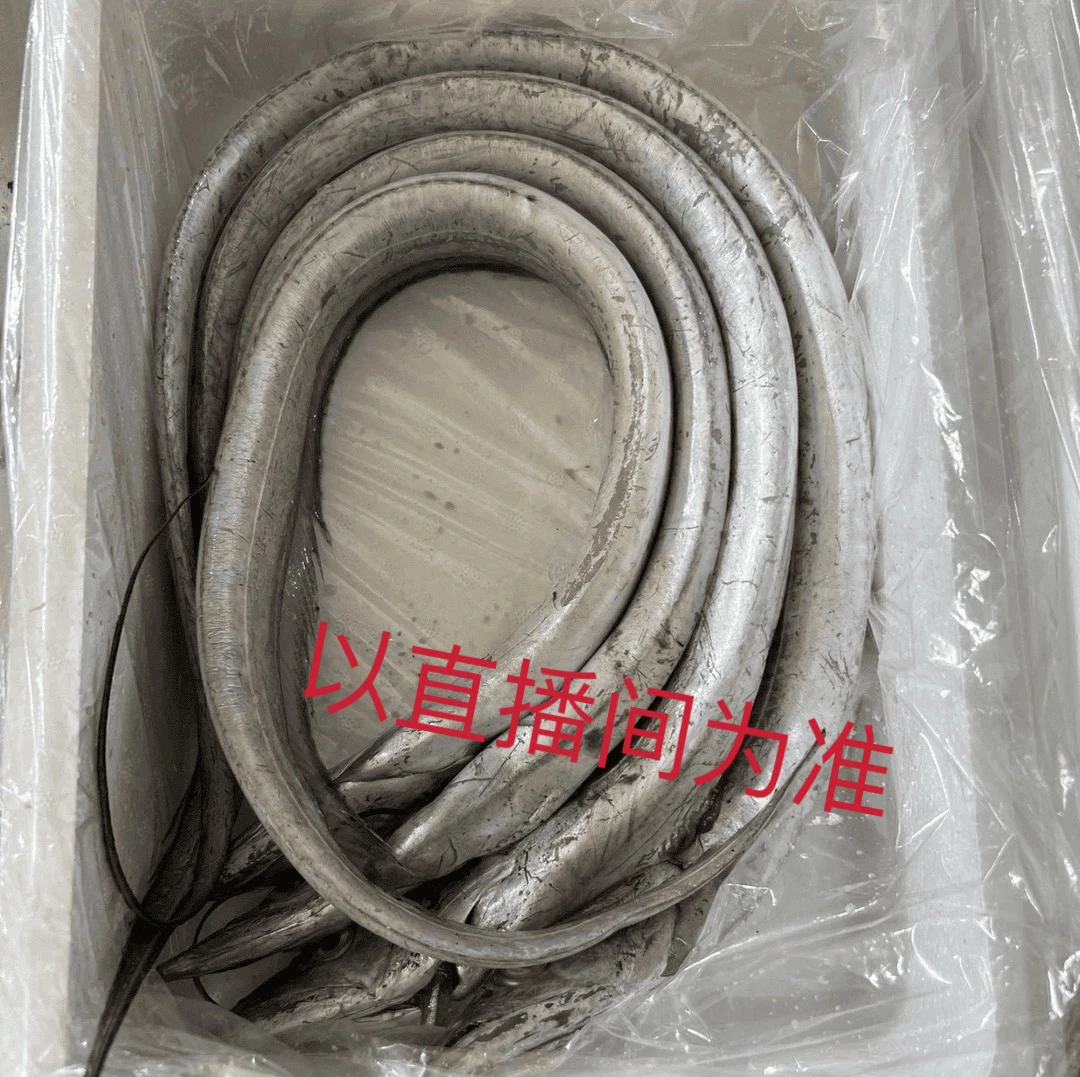 大连 发货 野生刀鱼（大小不均，介意破肚勿拍）顺丰包邮