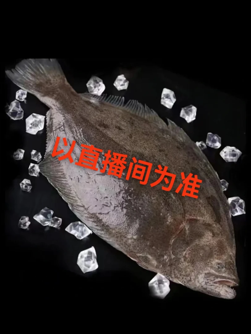 大连发货  牙片鱼（大小混发）顺丰快递