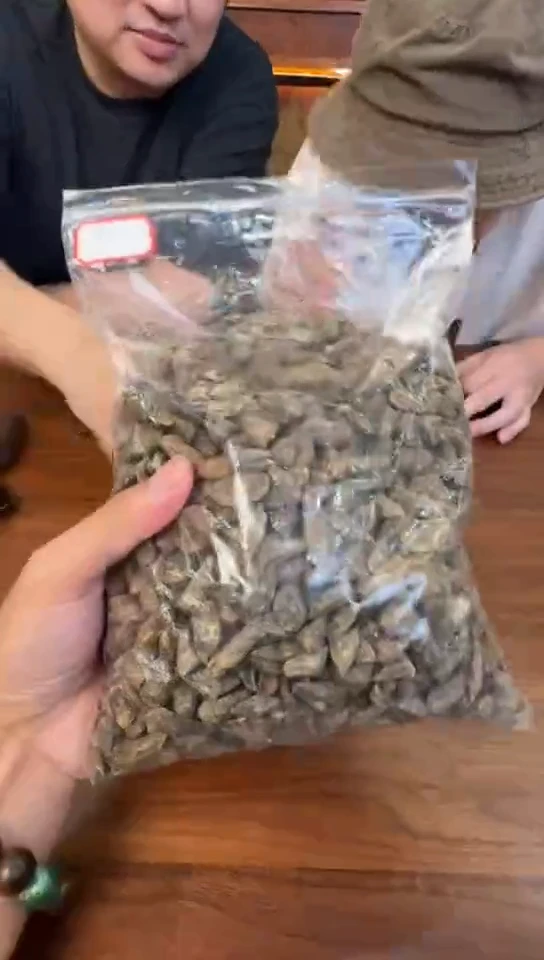 【闪购商品】瓷片海南沉香原料10克@@YX549