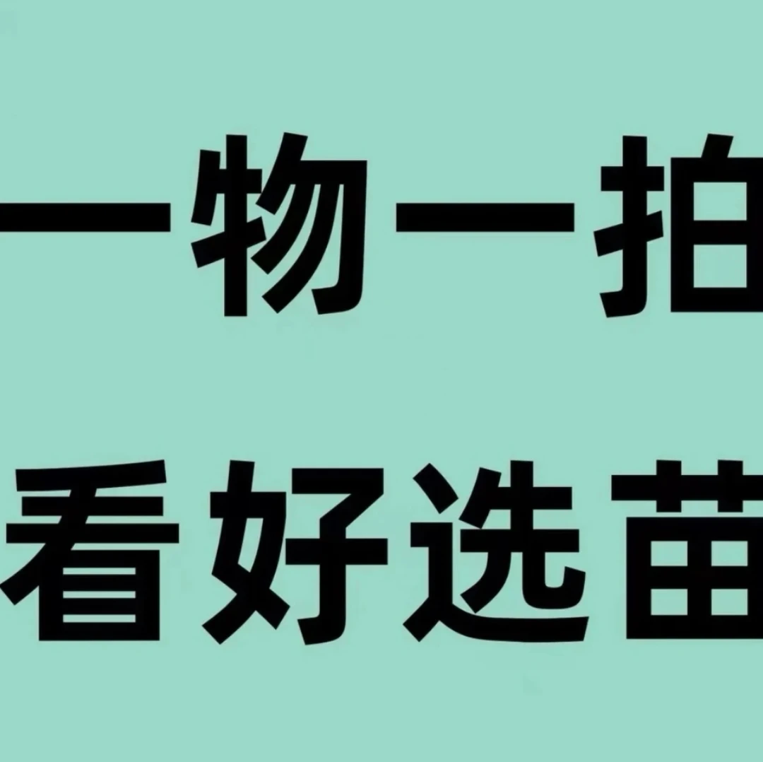 【一物一拍】包邮送货上门