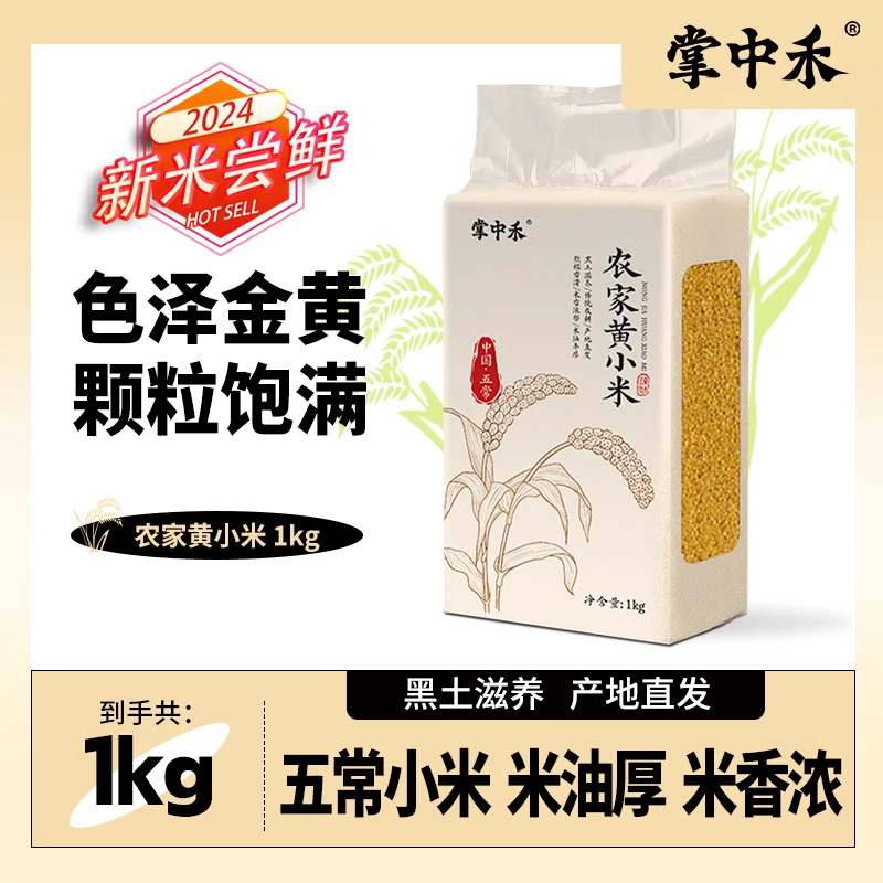 掌中禾东北黄小米黑土种植饱满圆润米饭伴侣