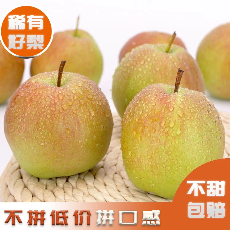 鲁山玉露香梨当季应季水果新鲜梨子5斤酥梨非砀山可团购
