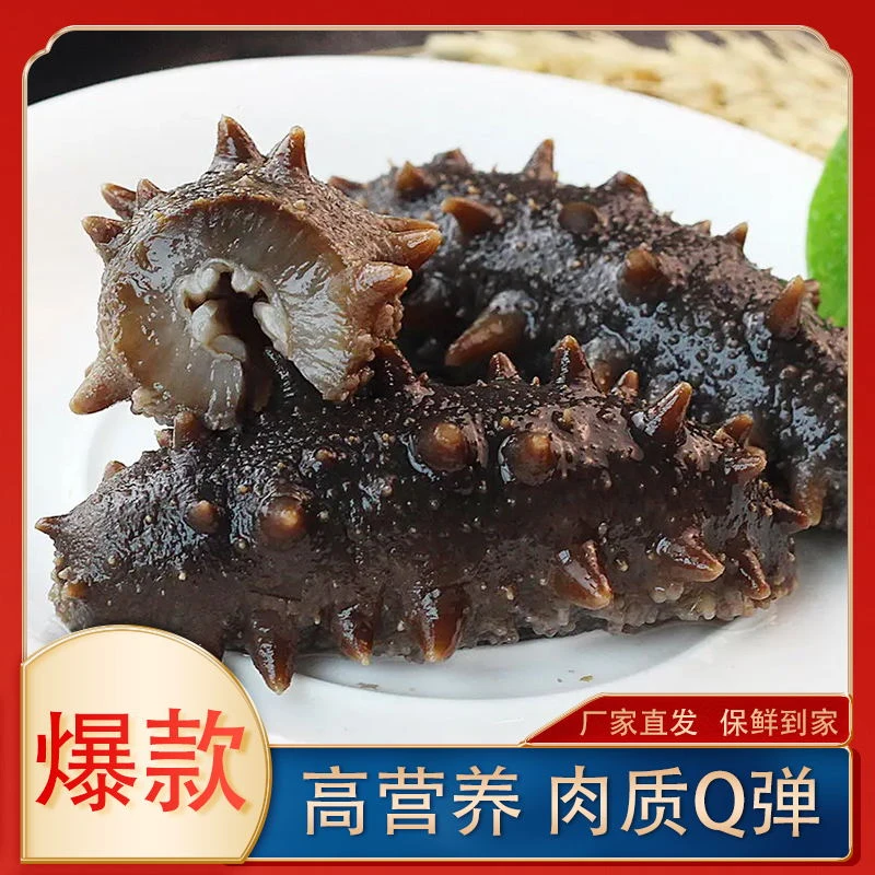 北极红极参冷冻海参海鲜北极红参水产盒装 400g