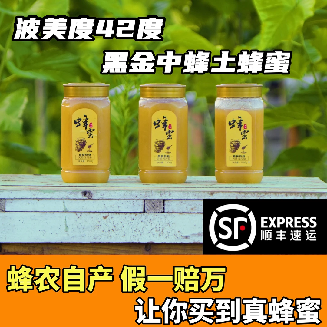【顺丰包邮】黑金中蜂土蜂蜜天然蜂蜜深山百花蜂蜜正品农家自产