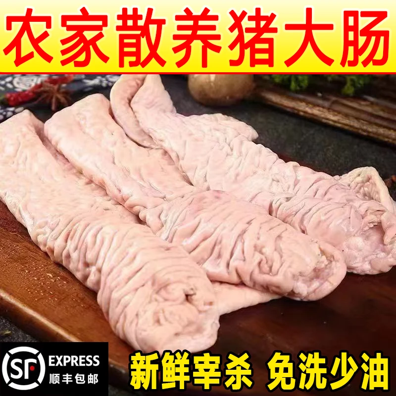 【顺丰包邮】大肠头农家黑土猪新鲜大肠头免洗大肠头批发