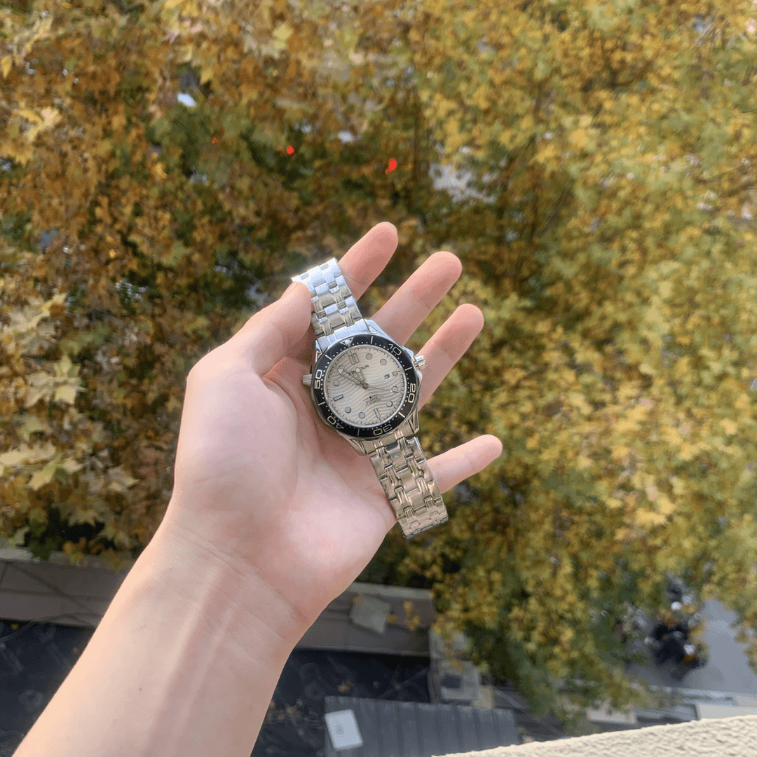 海马—白盘—运动腕表【#】