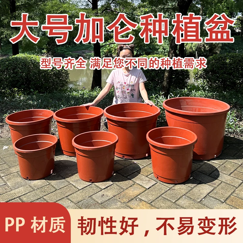 种植加厚特大口径防晒花盆黑加仑盆尺寸高桶盆绣球蓝莓控根定植盆