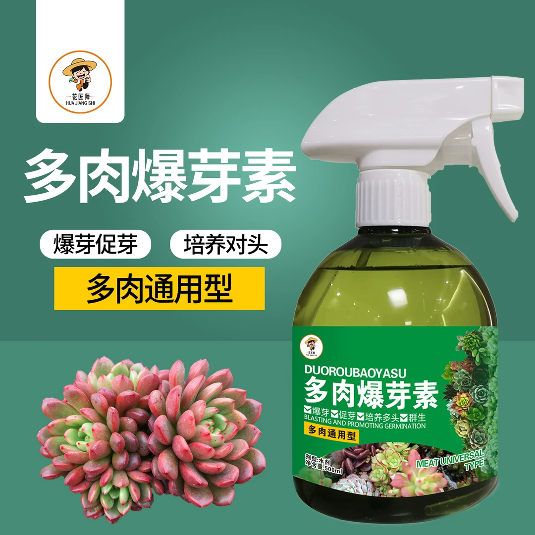 多肉专用微量元素叶插促芽爆芽催芽家用园艺养花肥料植物营养液