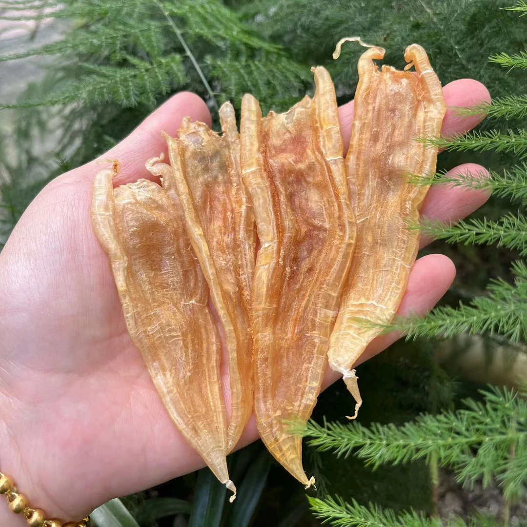 北海 双背胶 清水干货老双背胶 腥味低口感丰富100g/250g/500g