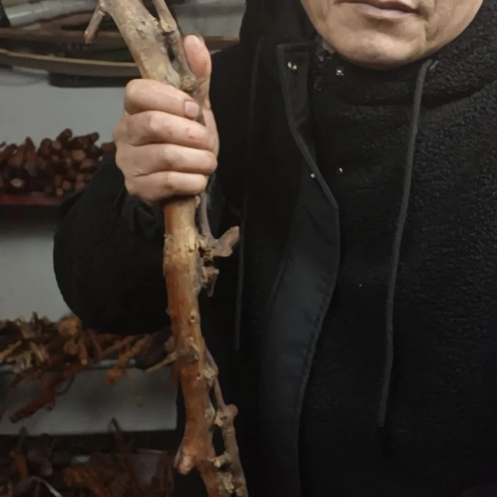 【闪购商品】木头陈*练