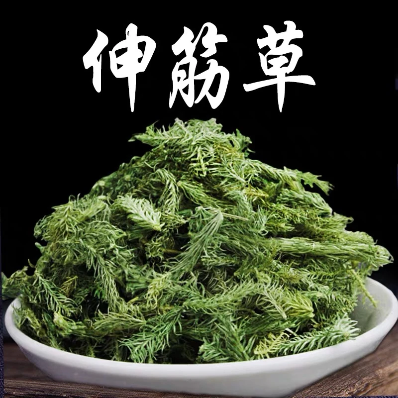 伸筋草广西野生伸筋草新货伸筋草晒干搭配海风藤 伸筋草100g-500g