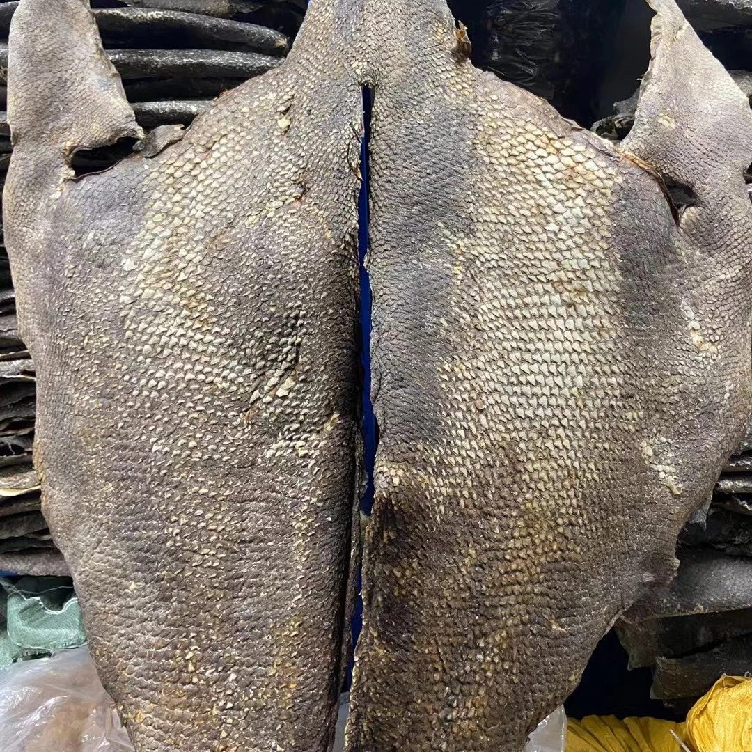 龙趸鱼皮 巨石斑鱼皮 昆仑鲍甫 广州一德路批发 4-5斤