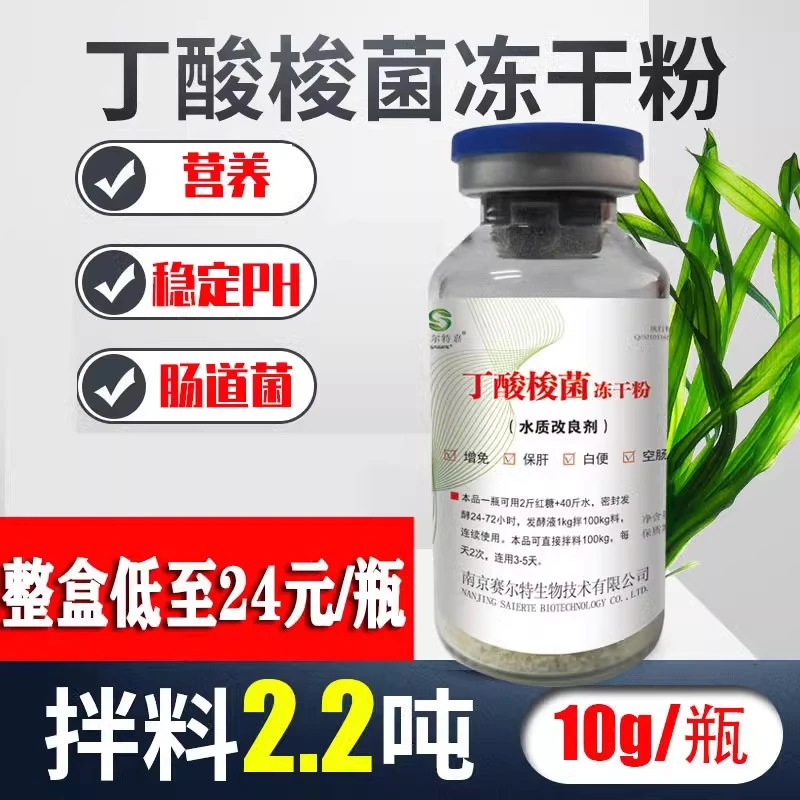 赛尔特嘉丁酸梭菌冻干粉调节肠道脱便白便诱食增重增产1000亿养殖