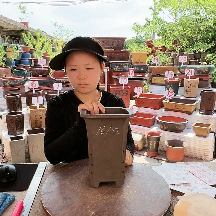 紫砂20CM（含）-50CM（不含）