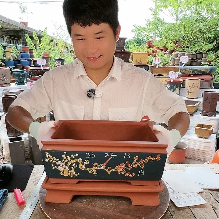 紫砂20CM(含)-50CM(不含)