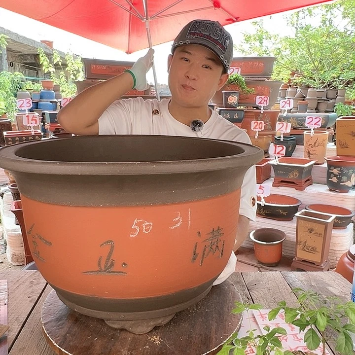紫砂20CM（含）-50CM（不含）