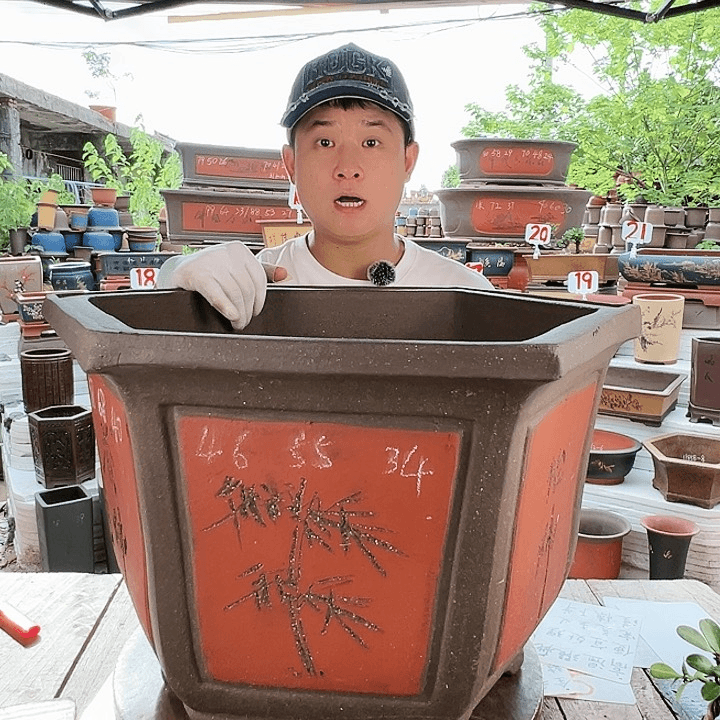 紫砂20CM（含）-50CM（不含）