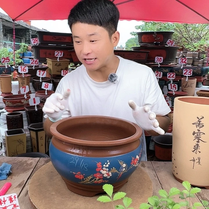 紫砂20CM(含)-50CM(不含)