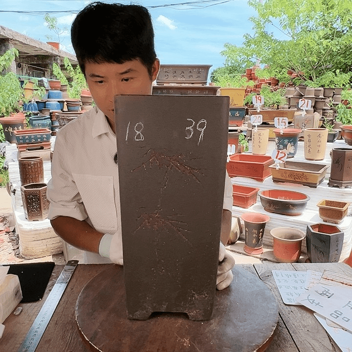 紫砂20CM（含）-50CM（不含）